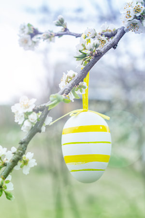 Easter egg hanging on a tree branch with blooming cherry flowersの写真素材