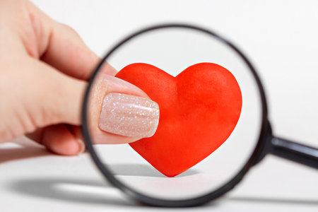 Heart enlarged under a magnifying glassの写真素材