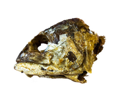 Fish head, fried white の写真素材