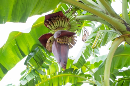 Retail redの写真素材