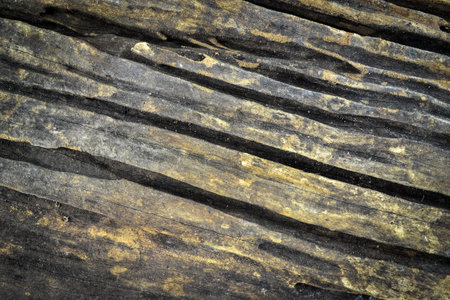 wooden abstract background with light and scratches
