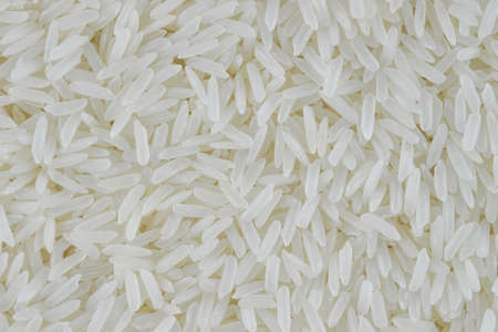 rice grain (jasmine rice) for backgroundの写真素材
