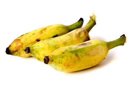 three Cultivated Banana, Thai cultivated banana on white background.の写真素材
