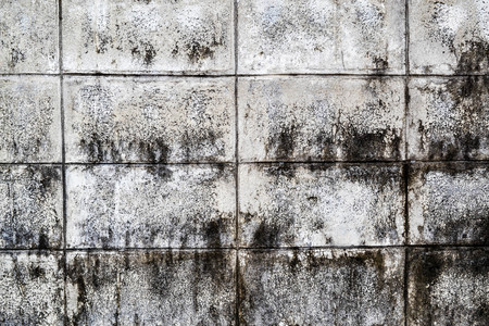 Mold growth and water stains on the ceiling of an abandoned house.の写真素材