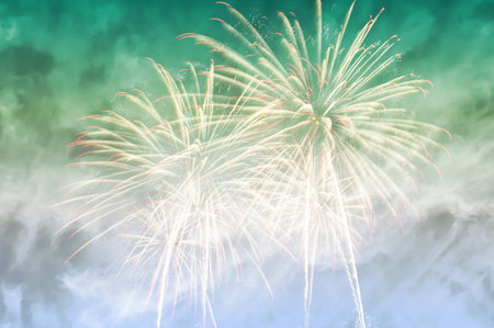 Colorful fireworks in celebration of the big day.