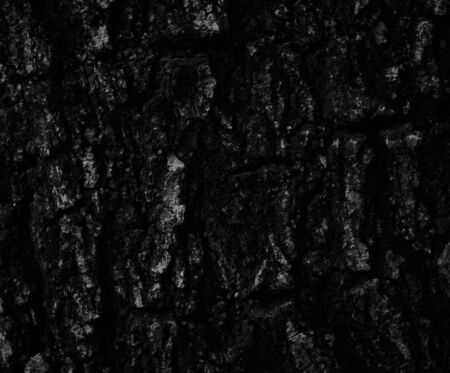 old black wood texture (for background)の写真素材