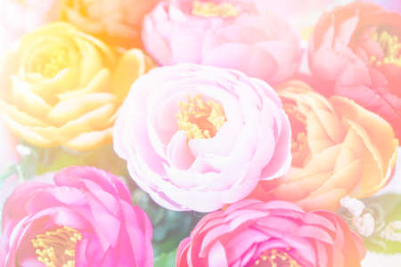 abstract background flower is out of focus blur made with color filterの写真素材