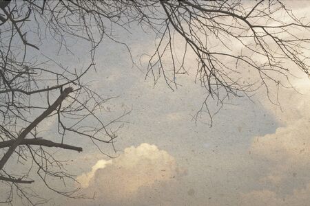 vintage nature background of tree in summer ,paper art textureの写真素材