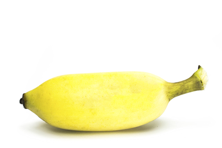 cultivated banana on white backgroundの写真素材