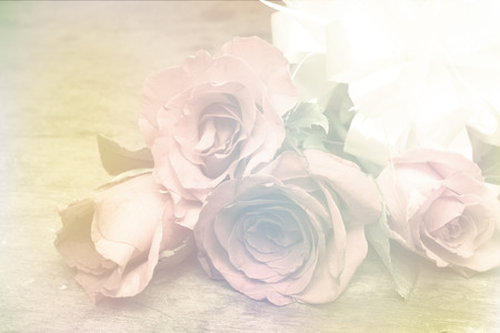 sweet color roses in soft style vintage for backgroundの写真素材
