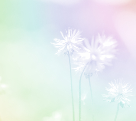 weed flowers in vintage color style on mulberry paper texture for backgroundの写真素材