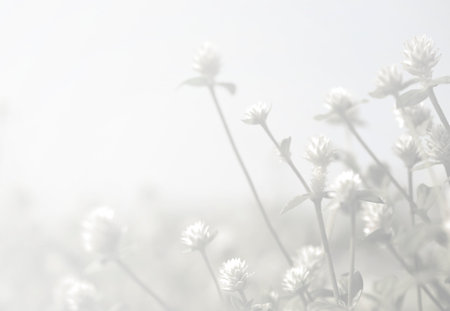 weed flowers in vintage color style texture for backgroundの写真素材