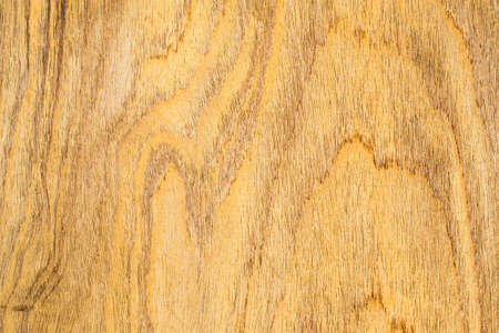 texture of brown wood use as natural backgroundの写真素材