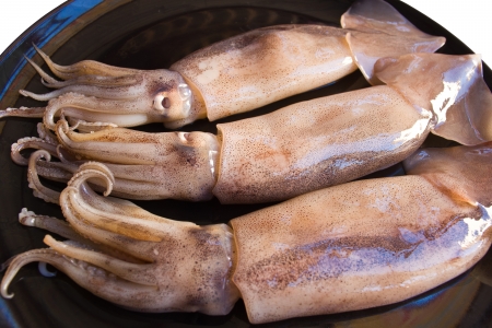 Fresh squid on black dishの写真素材