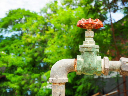 The old water valve in the garden.