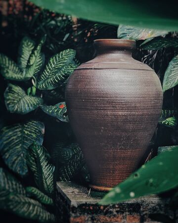 Ceramic pottery in park in the morning.の写真素材