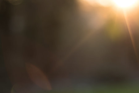 Flare abstract blurred background with sun flare. A backdrop bokeh spotlight for photo overlay