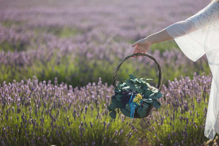 hand holding a flower bouquet in summer. Aroma lavender field aromatherapy fragrance in Brihuegaの写真素材