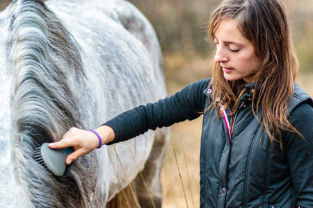 horse care cleaning with brush. Andalusian pure spanish grooming. middle aged hispanic woman riderの写真素材