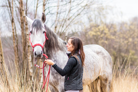 andalusian pure spanish horse. hispanic middle aged woman from horse riding school. equitationの写真素材