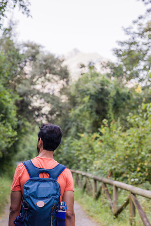 Hiker trekking in senda del oso Asturias, eco Tourism destination. Unrecognizable backpacker adultの写真素材