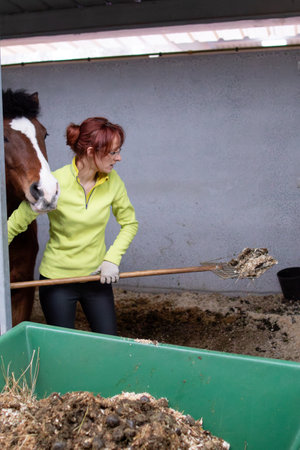 Horses paddock cleaning hygiene, excrement for eco-friendly fertilizer. Middle-aged Hispanic womanの写真素材