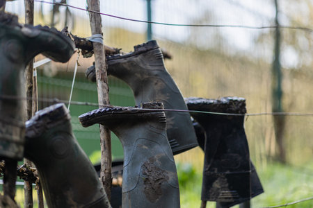Farmer drying muddy rubber boots on wire fence in quiros, asturiasの写真素材
