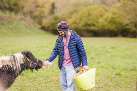volunteer feeding pony hay in asturias animal sanctuaryの写真素材