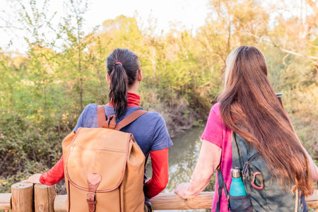 Hikers enjoying scenic view in natural park