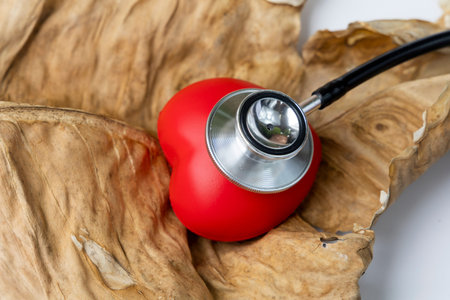 stethoscope and red heart laying on dry leaves