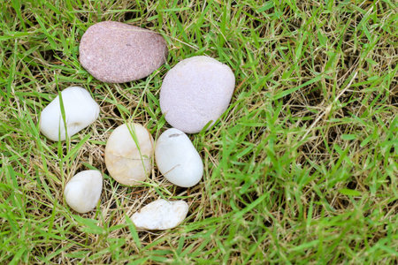 Rocks are placed on the green grass, leaving copyspace
