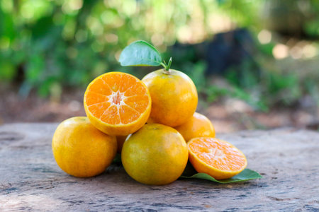Fresh orange slices arranged on rustic wooden floor, bright and simple composition.の写真素材