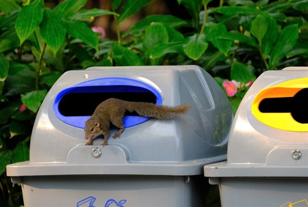 garbagesの写真素材