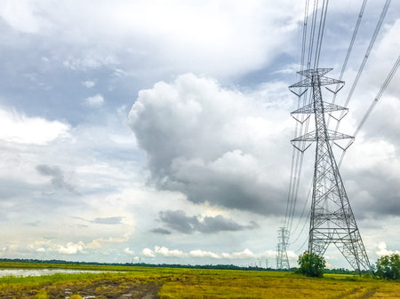 High power pylons and natural green with clear skies.