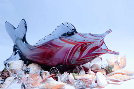 Fish on the shells の写真素材