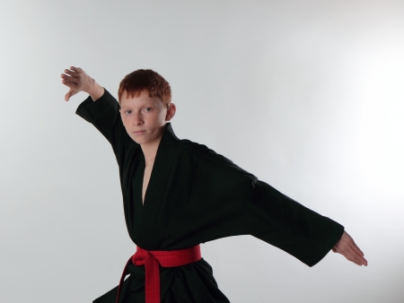 Young Karate Man の写真素材