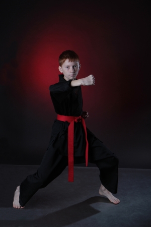 Young Karate Man の写真素材