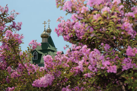 Upper part of a religious building with a dome and a cross in the settlement on the Black Sea coast の写真素材