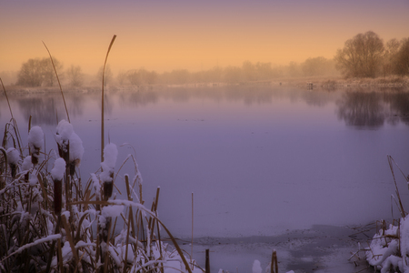 Magnificent views of the misty river through reeds. Central Russia.の写真素材