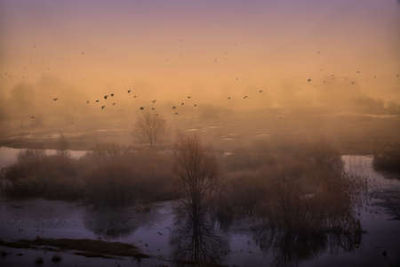 Season of rising water levels in rivers and reservoirs of naturalの写真素材