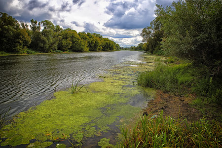 Summer river landscape.