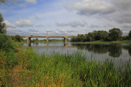 Summer river landscape.の写真素材