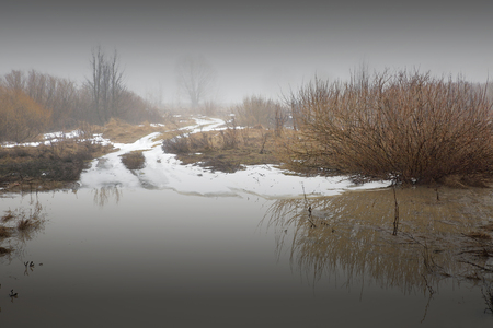 A warm fog of a spring evening in the suburbs.の写真素材