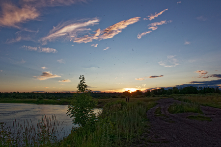 Sunset over the River in July.の写真素材