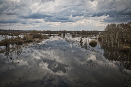 In captivity near the flood.の写真素材