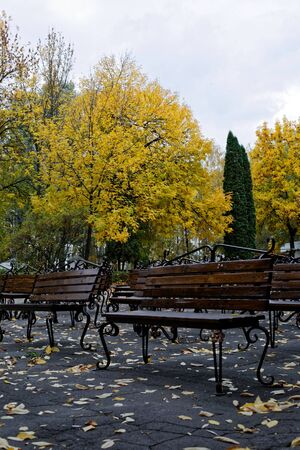 Rows of benches of the summer theater in autumn.の写真素材