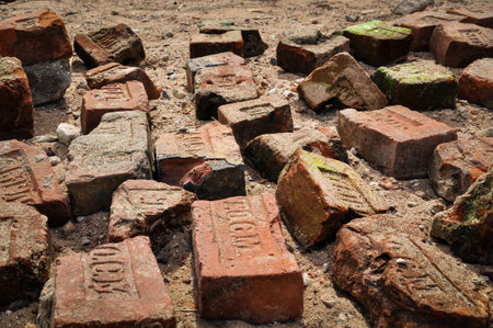 A pile of old broken bricks of different shapes and colors.