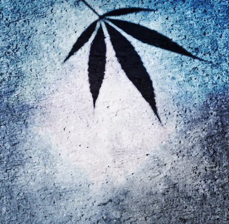 Blue frame with canabis leaf on cement wall background, can be used as background or labelの写真素材