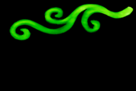 Abstract spiral whirl curvy blur blurry line in neon green color on blackの写真素材