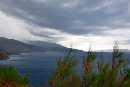 Scenic windy cloudy view of sea with plants in the foregroundの写真素材